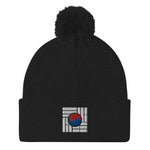 Load image into Gallery viewer, &quot;Korean Flag&quot; Pom-Pom Beanie
